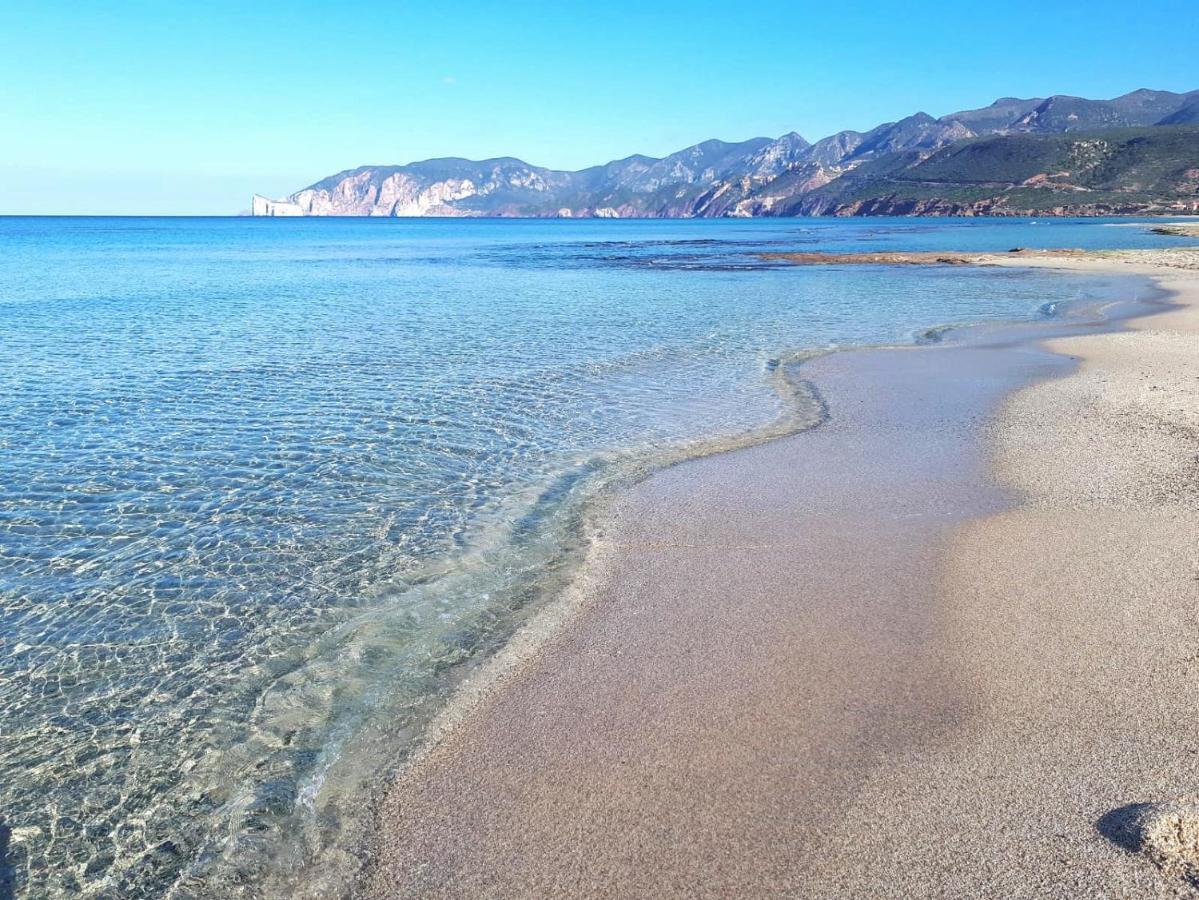 Appartamento L' Antico Ulivo Iglesias Esterno foto