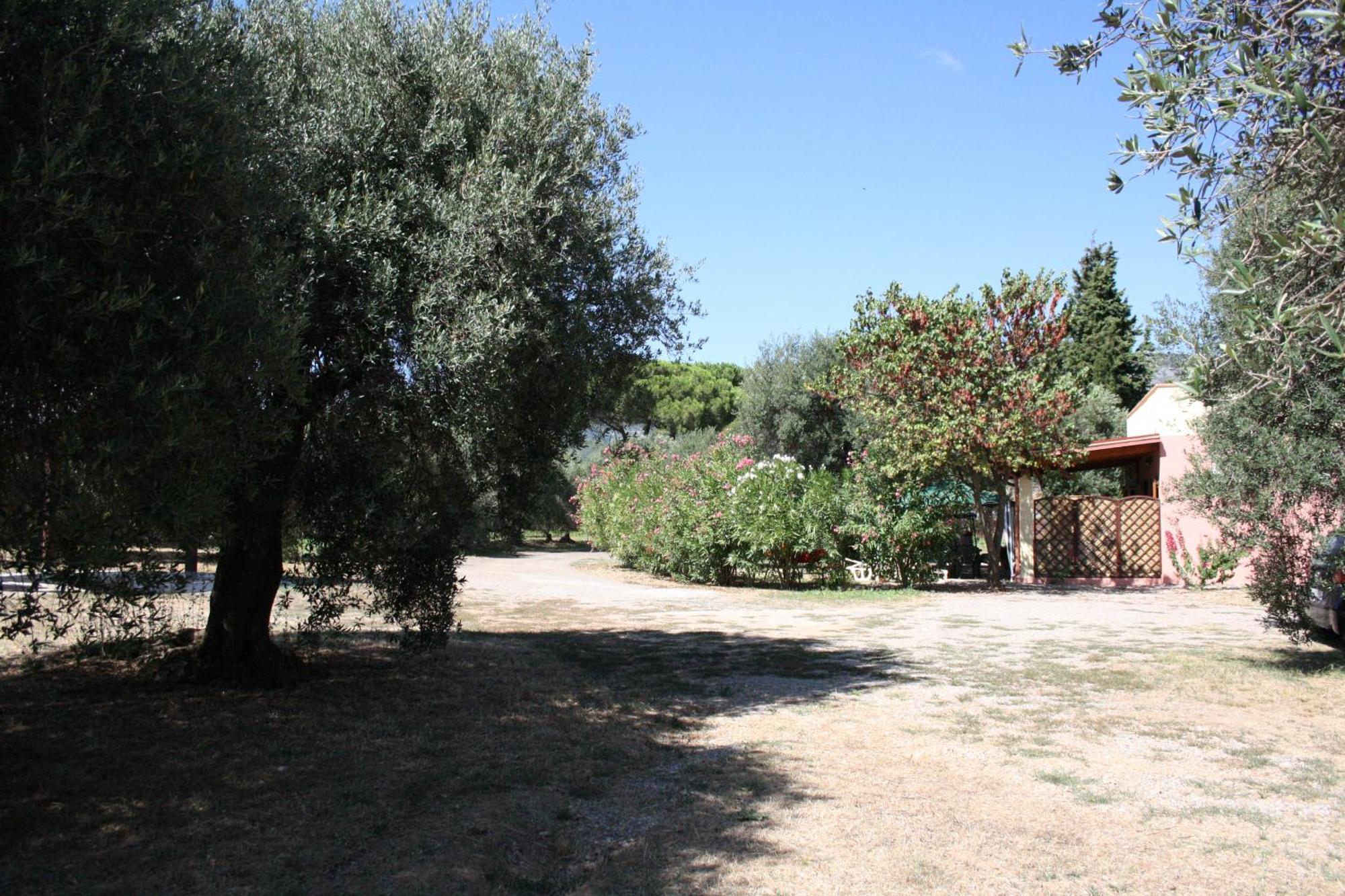 Appartamento L' Antico Ulivo Iglesias Esterno foto